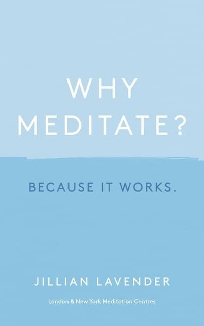 Why Meditate? Because It Works 9781529356915
