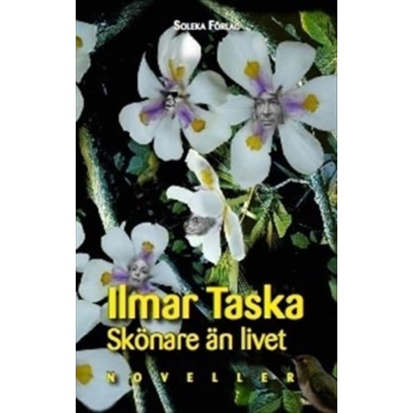 Skönare än livet : noveller 9789186329044