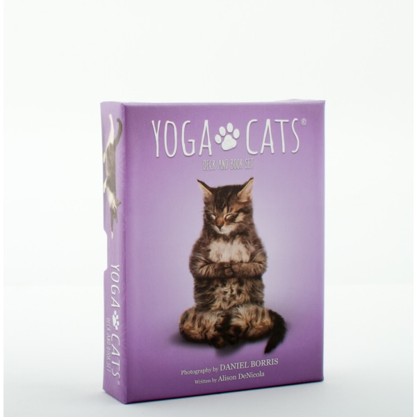 Yoga Cats Deck & Book Set 9781572818743
