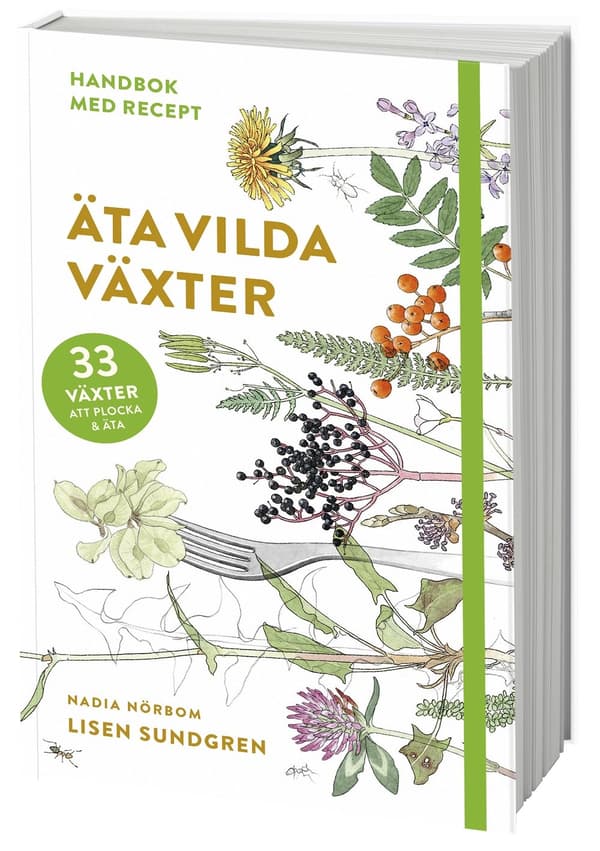 Äta vilda växter 9789178870943