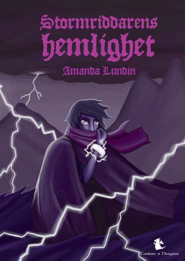 Stormriddarens hemlighet 9789189862623