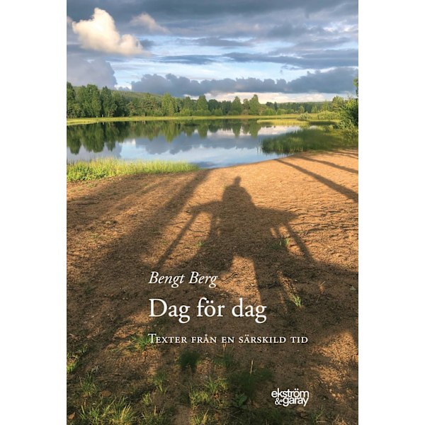 Dag för dag : texter från en särskild tid 9789189217737