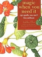 Magic When You Need It 9781578634194