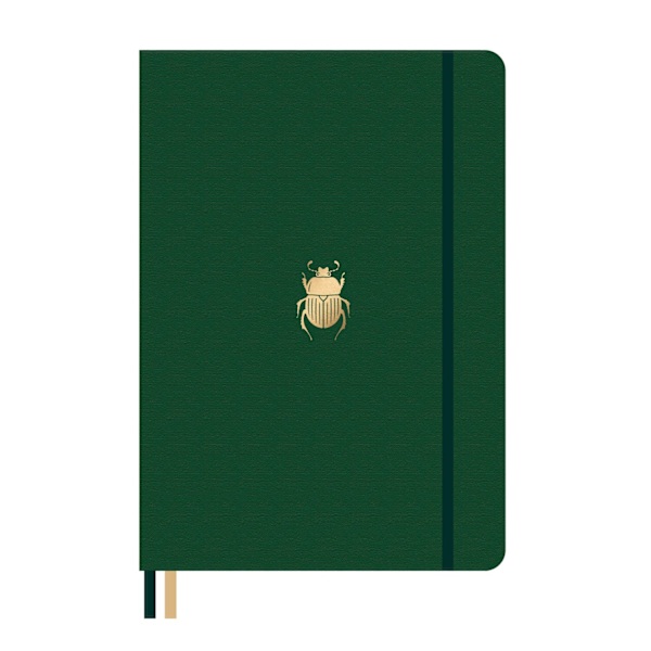 Dingbats* Pro B5 Beetle Notebook - Plain 9780948432293