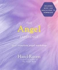 The Angel Experience 9780753734322