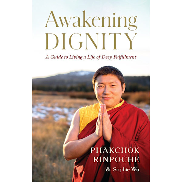 Awakening Dignity 9781645470885