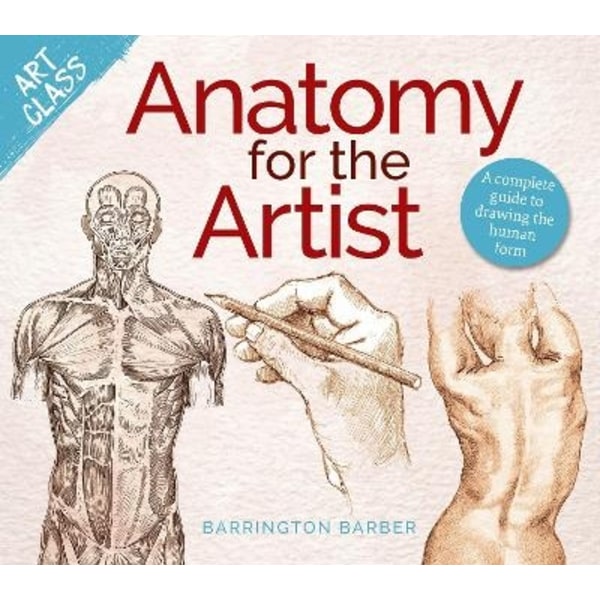 Art Class: Anatomy for the Artist 9781398840089