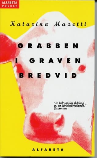 Grabben i graven bredvid 9789177129516