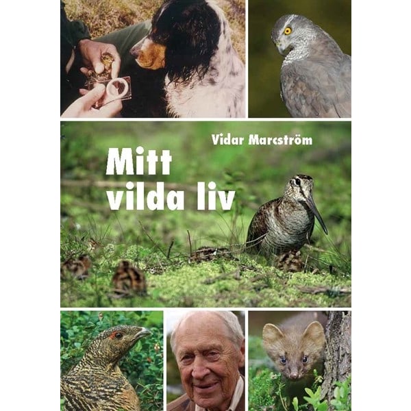Mitt vilda liv 9789198006261