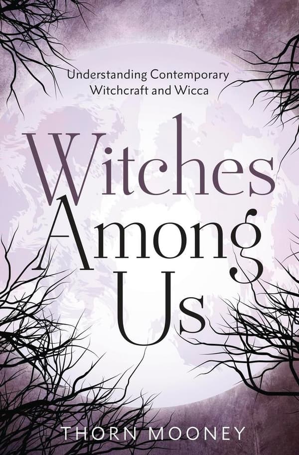 Witches Among Us 9780738777375