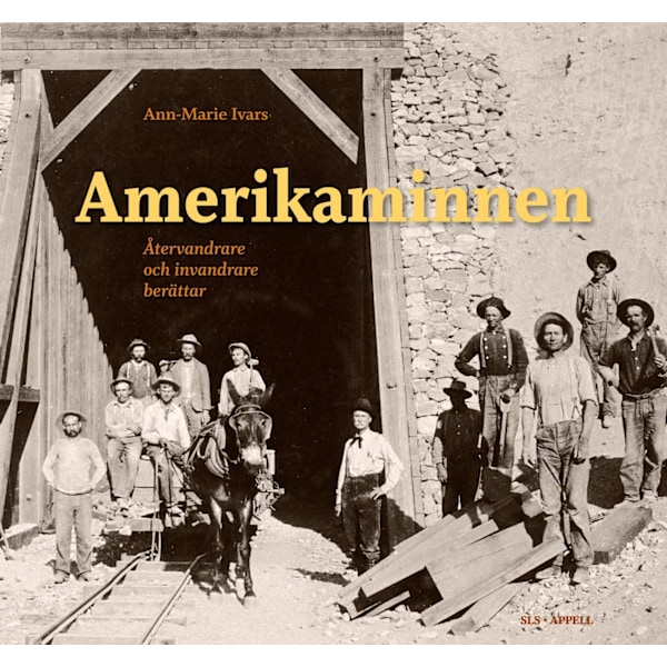 Amerikaminnen 9789198496185