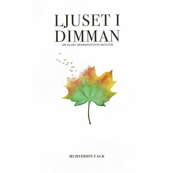 Ljuset i dimman - Om Islam i modernitetens skuggor 9789186267346