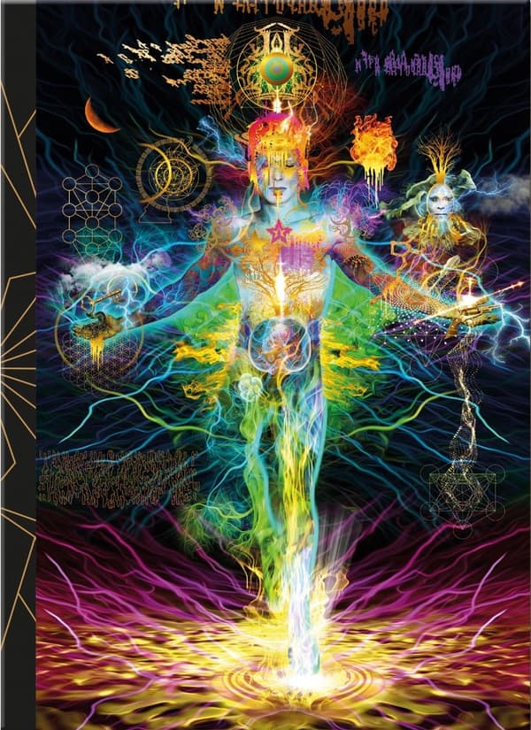 Starman Journal 9780738762258