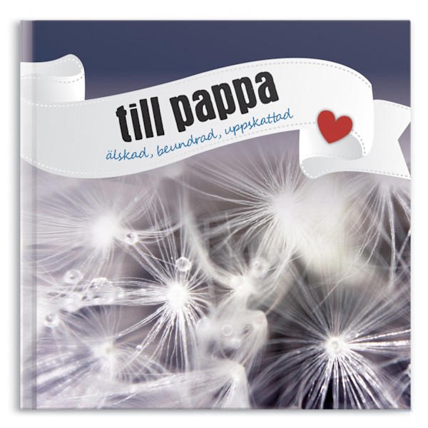 Till pappa 9789187501104