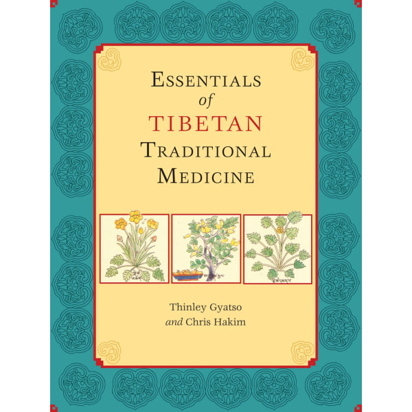 Essentials of tibetan traditional medicine 9781556438677