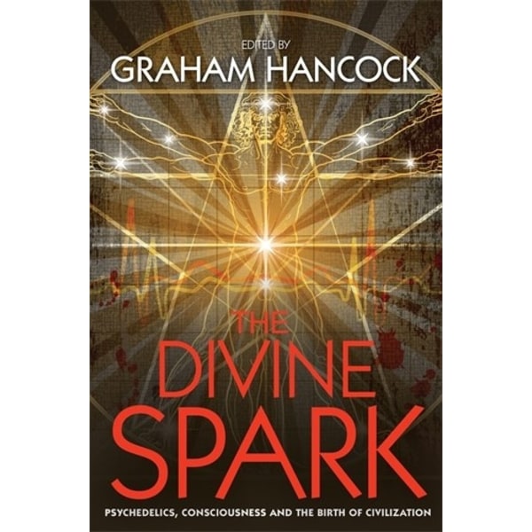 Divine spark 9781781805626