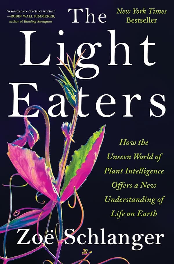 The Light Eaters 9780063073852