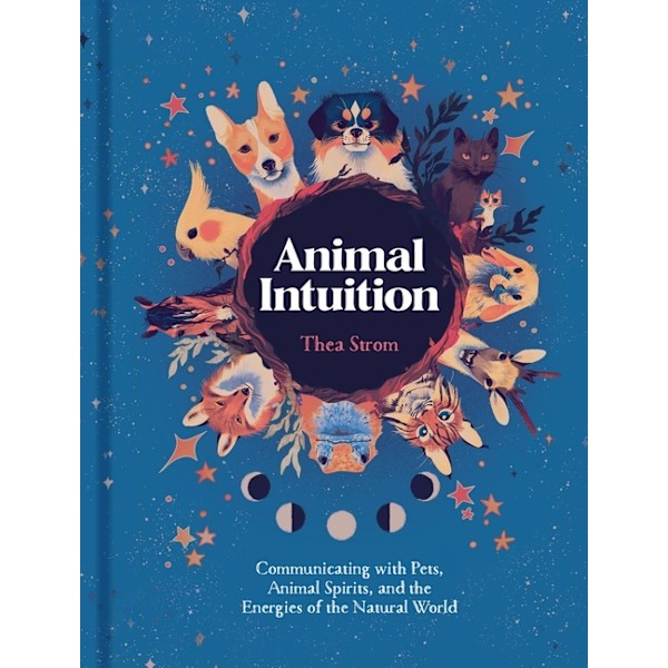 Animal Intuition 9781454946748