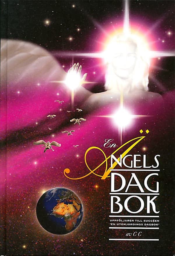 En ängels dagbok 9789163097911