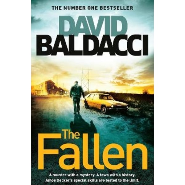 Fallen 9781509874293