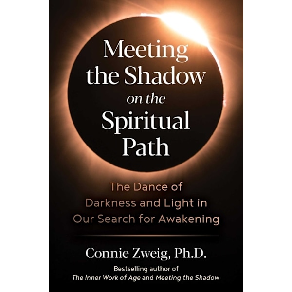 Meeting The Shadow On The Spiritual Path 9781644117224