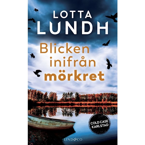 Blicken inifrån mörkret 9789180182966
