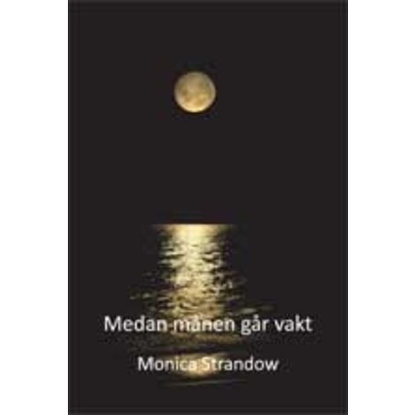 Medan månen går vakt : roman 9789197961035