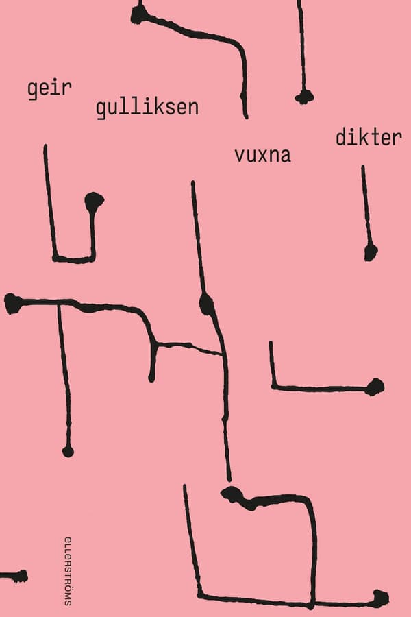 Vuxna dikter 9789172476677