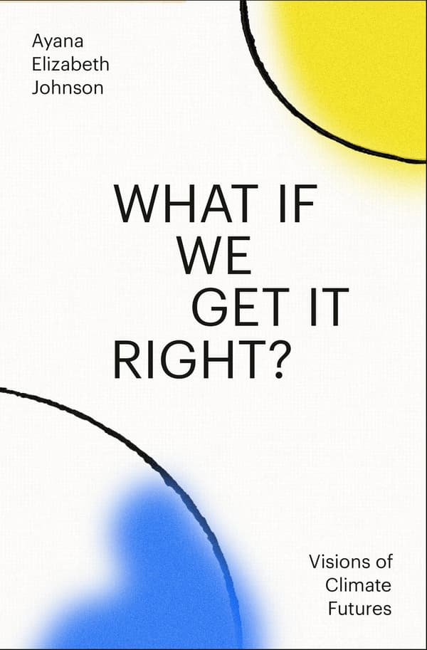 What If We Get It Right? 9780593229361