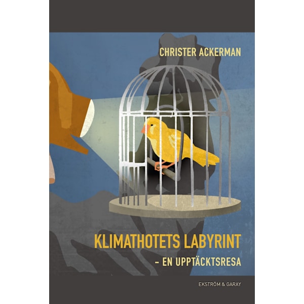 Klimathotets labyrint : en upptäcktsresa 9789189397866