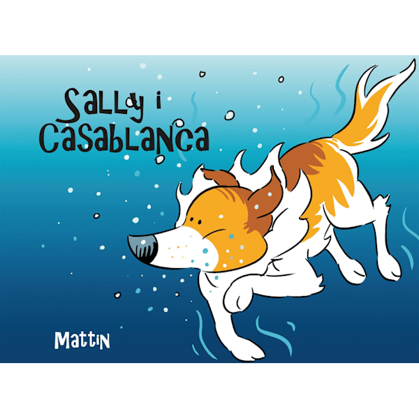 Sally i Casablanca 9789175331218