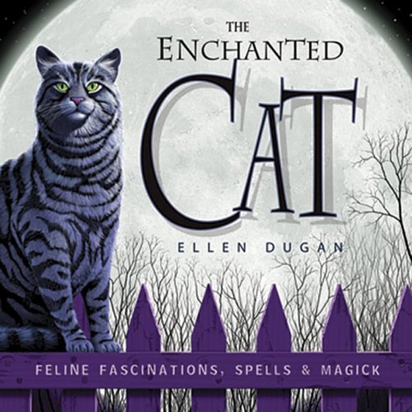 Enchanted cat 9780738707693