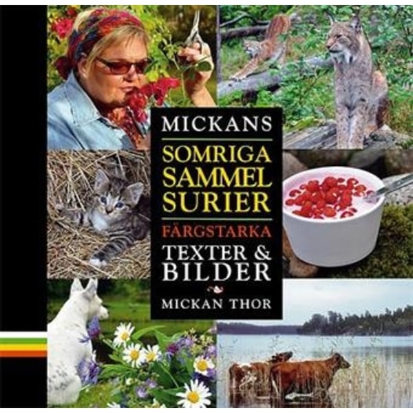 Mickans somriga sammelsurier 9789176949054