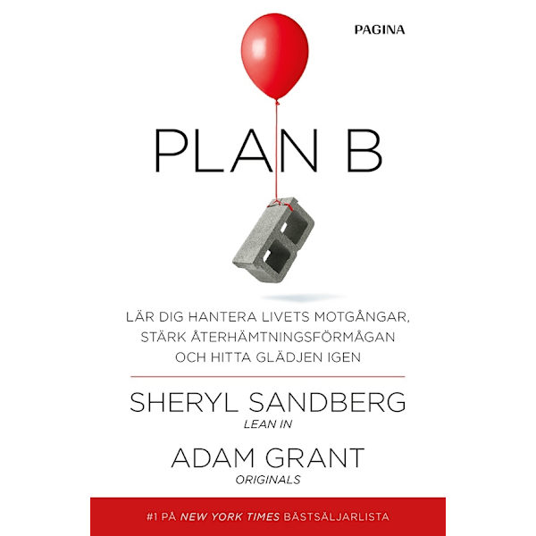 Plan B 9789163615665