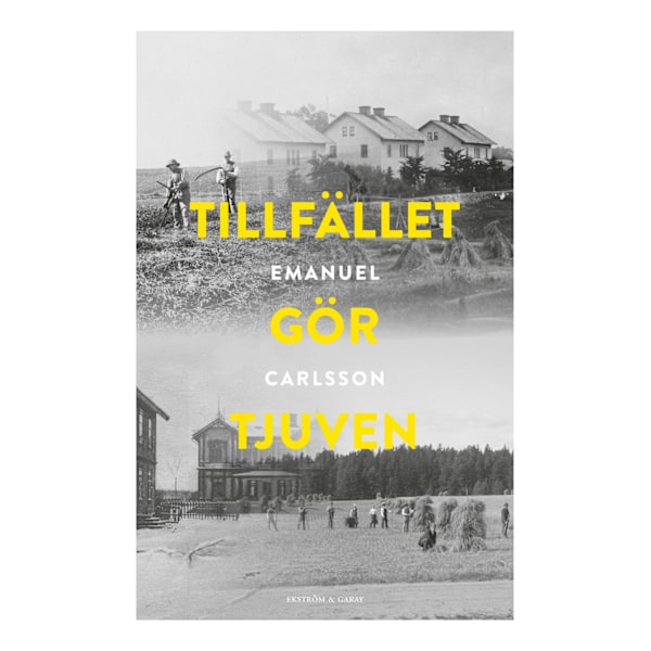 Tillfället gör tjuven 9789189743601