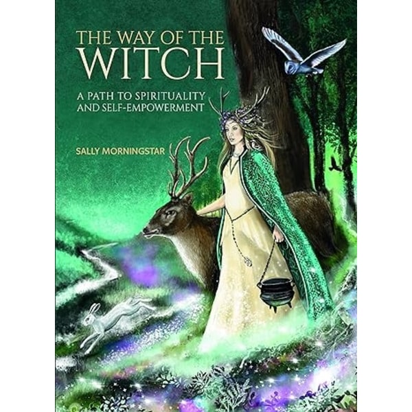 Way of the Witch 9781590035160