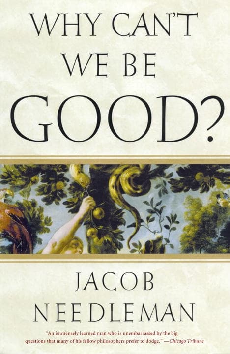 Why cant we be good 9781585426201