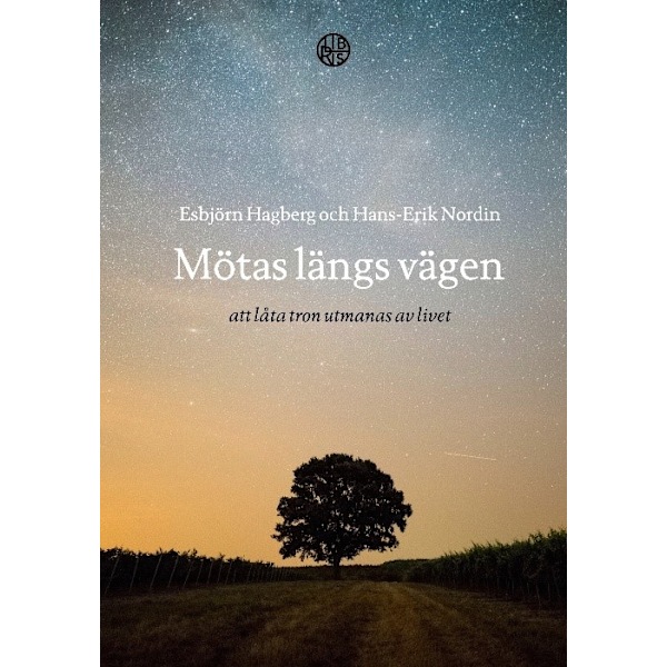 Mötas längs vägen : att låta tron utmanas av livet 9789173878012