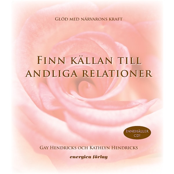 Finn källan till andliga relationer 9789185127351