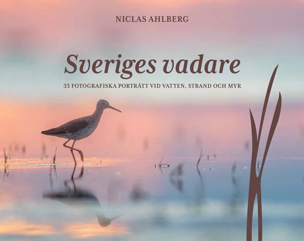 Sveriges vadare 9789153169710