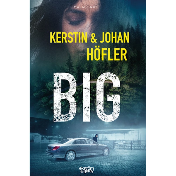 Big 9789189308985