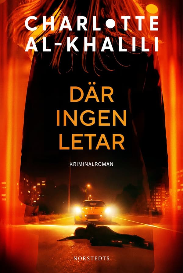 Där ingen letar 9789113133065