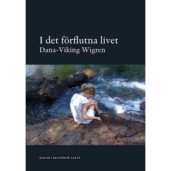 I det förflutna livet 9789189743861