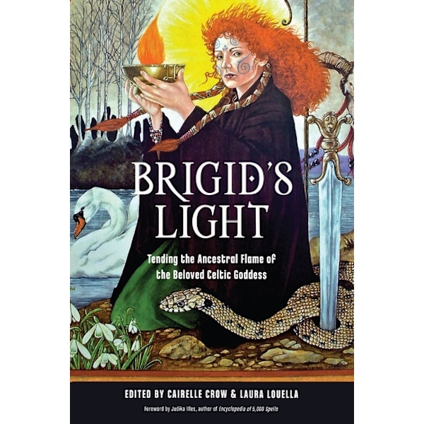 Brigid's Light 9781578637690