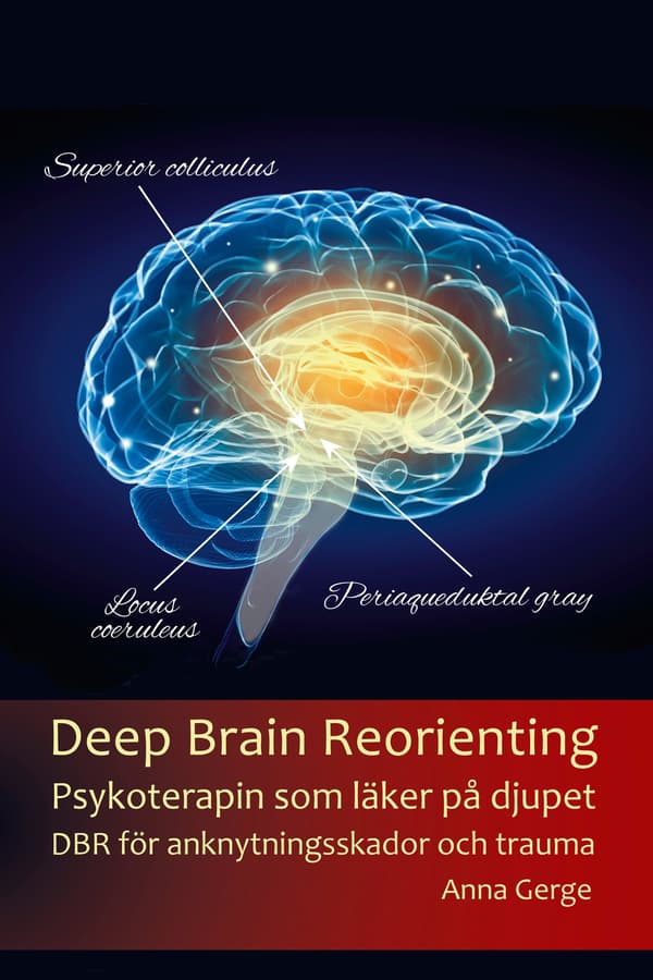 Deep Brain Reorienting 9789198373387