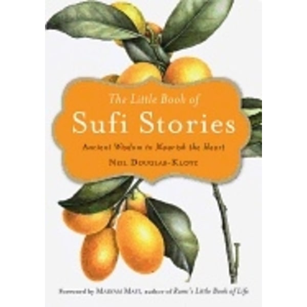 Little book of sufi stories 9781571748294