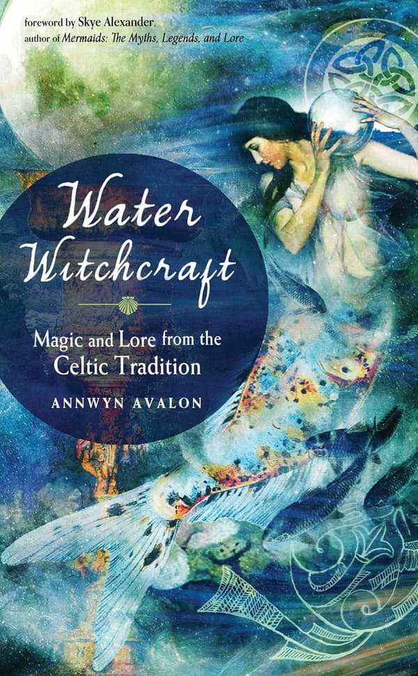 Water Witchcraft 9781578636464