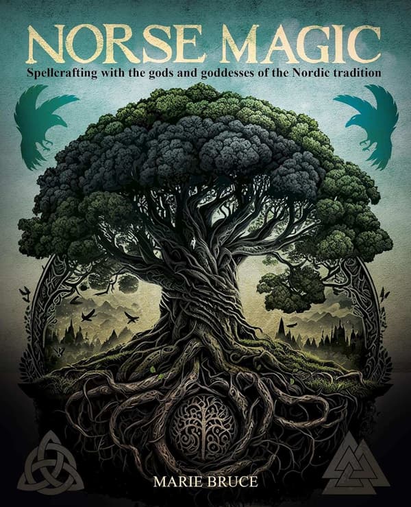 Norse Magic 9781398839502