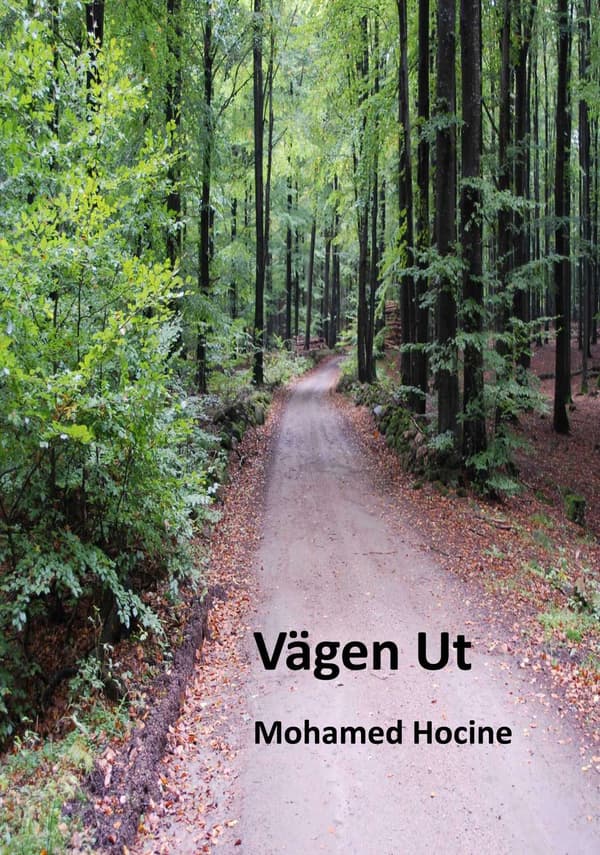 Vägen ut 9789187285219
