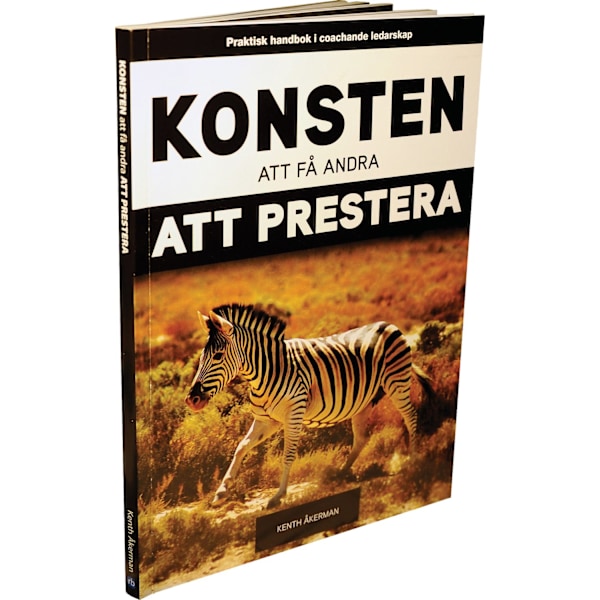 Konsten att få andra att prestera 9789186439088